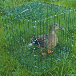 Cage pour chanteuse pliable 30x30x30cm à l'unité
