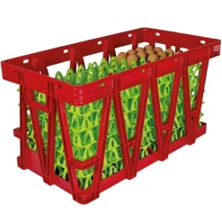 Caisse de transport pour plateaux à oeufs