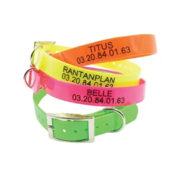 Collier à graver dans la masse BIOGOLD 60X2,5 cm 4 couleurs ajustable