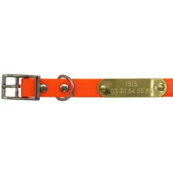 Collier à graver sur plaque BIOGOLD petit chien et chiot 11 couleurs