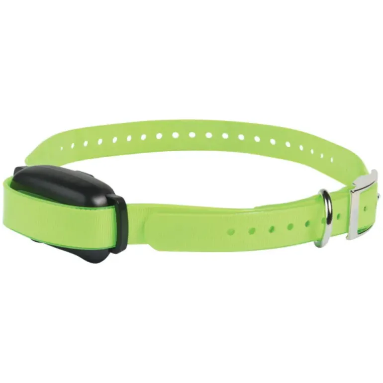 Collier additionnel ProHunt 600 m pour dressage canin