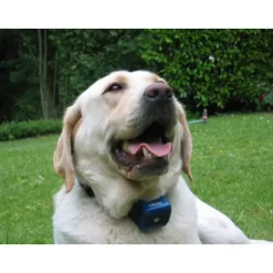 Collier anti-aboiement pour gros chien "Canicalm"