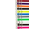 Collier Biogold petit chien ou chiot 3 couleurs