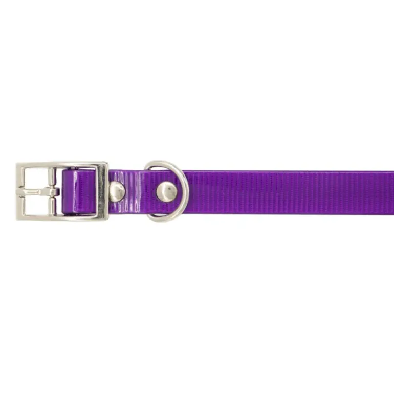 Collier Biogold petit chien ou chiot 3 couleurs