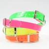 Collier chien fluo BIOGOLD taille standard 4 couleurs