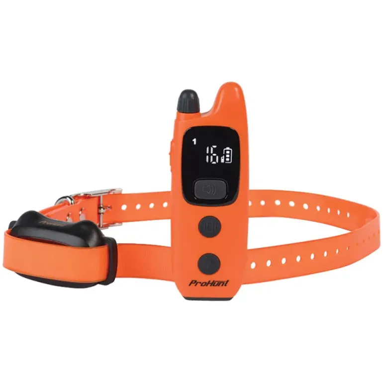 Collier de dressage ProHunt 600 m étanche et rechargeable