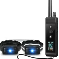 Collier dressage 2 chiens 8 tons 16 vibrations IP67 rechargeable