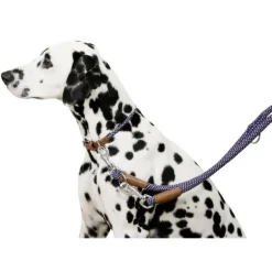 Collier pour chien en corde 30 - 40 cm
