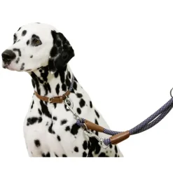 Collier pour chien en corde 30 - 40 cm