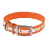 Collier pour chien orange phosphorescent 45 cm