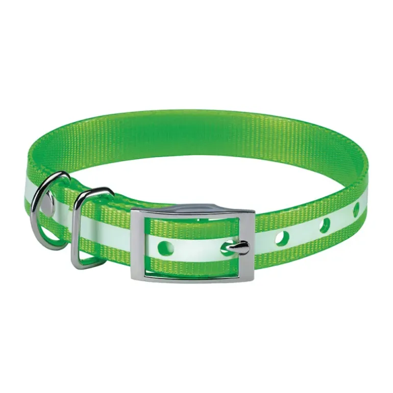 Collier pour chien vert phosphorescent 45 cm