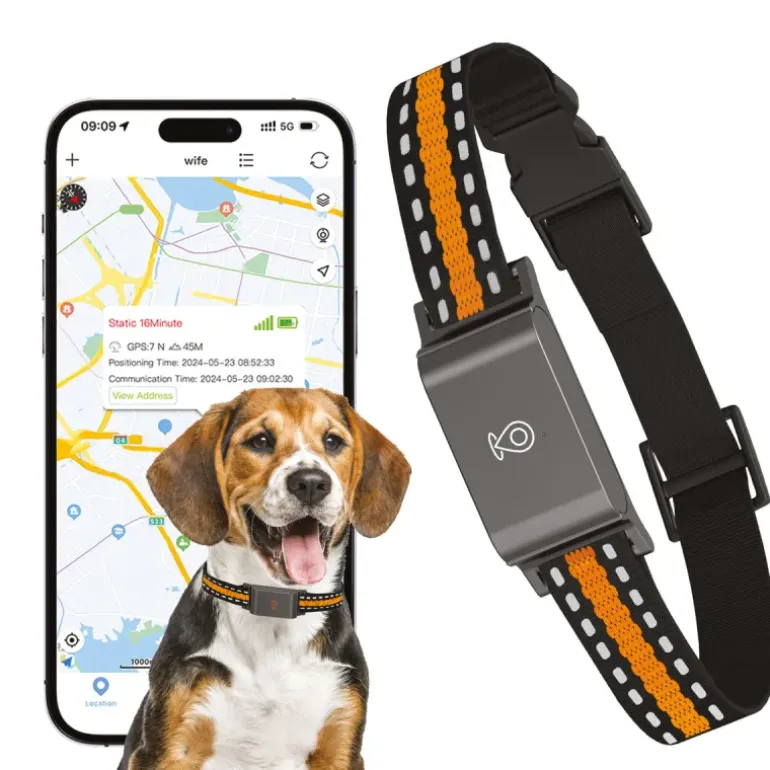 Collier traceur GPS 4G pour animaux - IP65 - Application gratuite