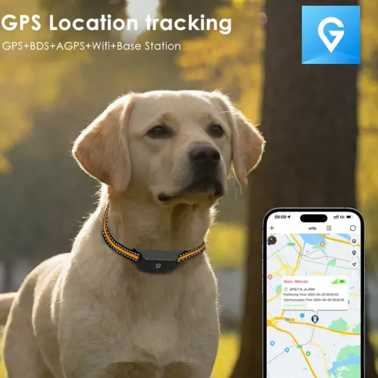 Collier traceur GPS 4G pour animaux - IP65 - Application gratuite