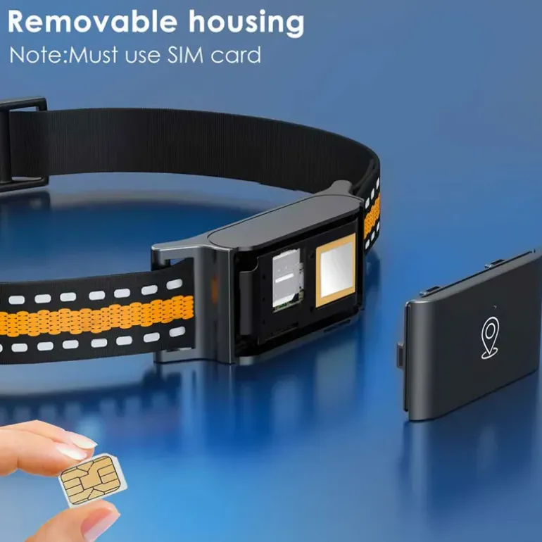 Collier traceur GPS 4G pour animaux - IP65 - Application gratuite