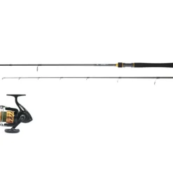 Combo Spinning Daiwa + Tresse Carnassiers Leurres Légers