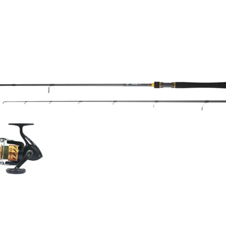 Combo Spinning Daiwa + Tresse Carnassiers Leurres Légers