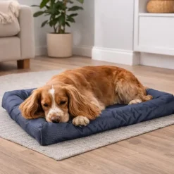 Coussin Matelas Imperméable Bleu 91x60x20cm Antidérapant