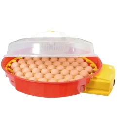 Couveuse automatique DUCAT 51 oeufs Puisor IO-014