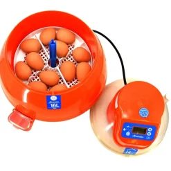 Couveuse automatique Novital Covatutto 16L Pro