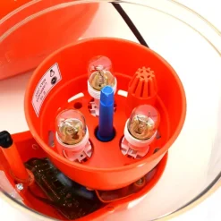 Couveuse automatique Novital Covatutto 16L Pro
