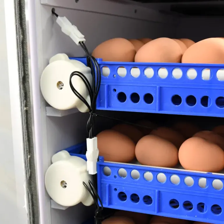 Couveuse Automatique PRO Couvitech® 272 œufs - Incubation Haute Performance