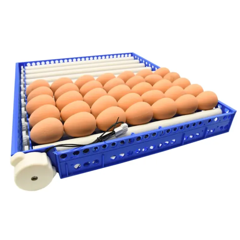 Couveuse Automatique PRO Couvitech® 272 œufs - Incubation Haute Performance