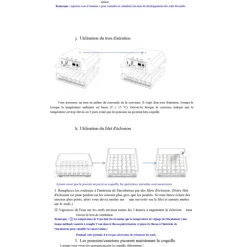 Couveuse Automatique SP Couvitech® 36 Œufs - Incubation Professionnelle et Fiable