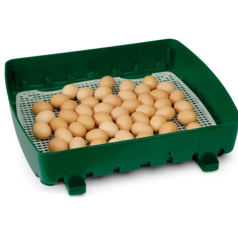 Couveuse semi automatique 49 oeufs Egg tech 49