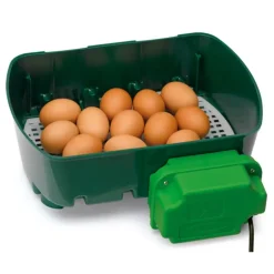 Couveuse semi automatique 12 oeufs River System Egg Tech 12