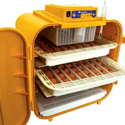 Couveuse semi-automatique Novital Covatutto 108