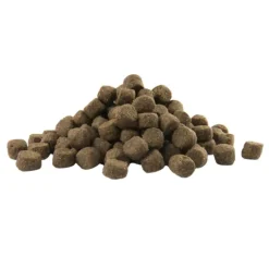 Croquettes pour Chiens Adult Skin Care Medium & Maxi 12,5kg