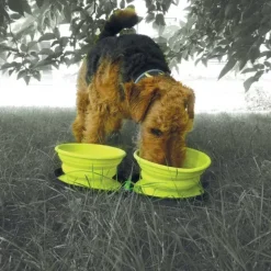 Double gamelle chien voyage rétractable silicone 700ml avec zip