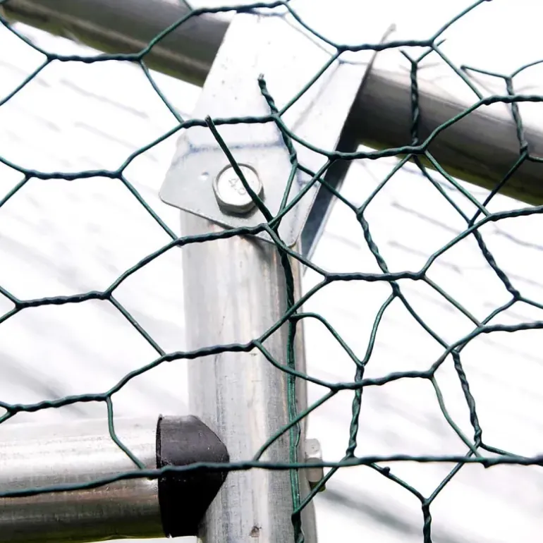 Enclos pour volailles 12m² - Structure galvanisée 4x3x2m