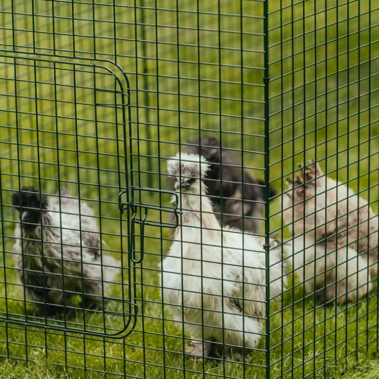 Extension de 1m pour enclos 2 m poulailler surélevé 8-15 poules