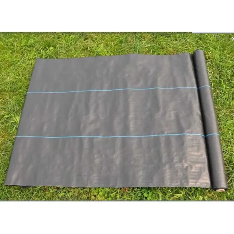 Feutre de paillage 90 g/m² - Rouleau 2,10m x 25m pour protection des cultures