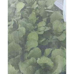 Filet anti-insectes pour plantes et arbres fruitiers