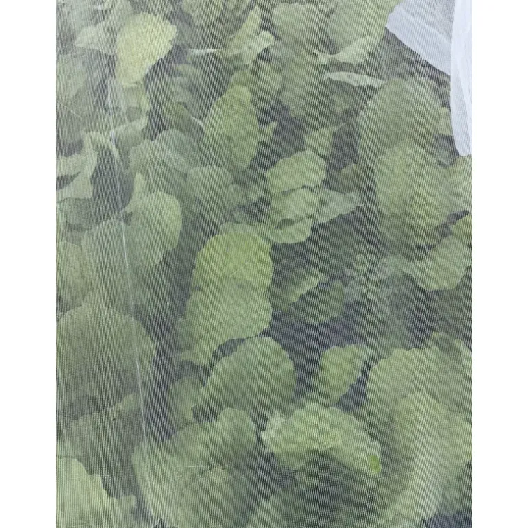 Filet anti-insectes pour plantes et arbres fruitiers