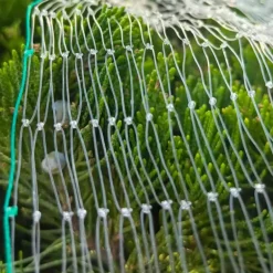 Filet de Protection Anti-Oiseaux 4x10m - Maille 15x15mm en Nylon