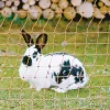 Filet électrifiable pour lapins 25m H0,65m simple pointe Kerbl