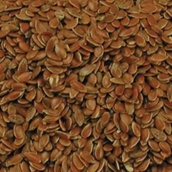 Graines de lin VADIGRAN dépoussiérées 4kg