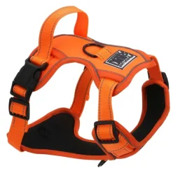 Harnais réfléchissant orange sécurité haute visibilité