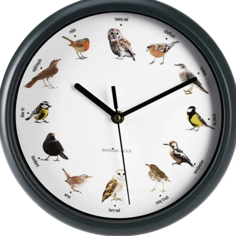Horloge murale sons oiseaux