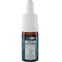 Huile de Microalgue 10ml pour Chien - Soutien Articulaire et Mobilité