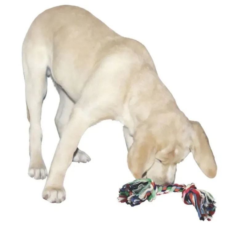 Jeu chien Corde nouée 37 cm