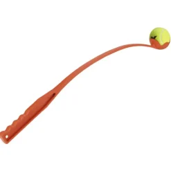 Jeu chien lanceur de balle de tennis manuel