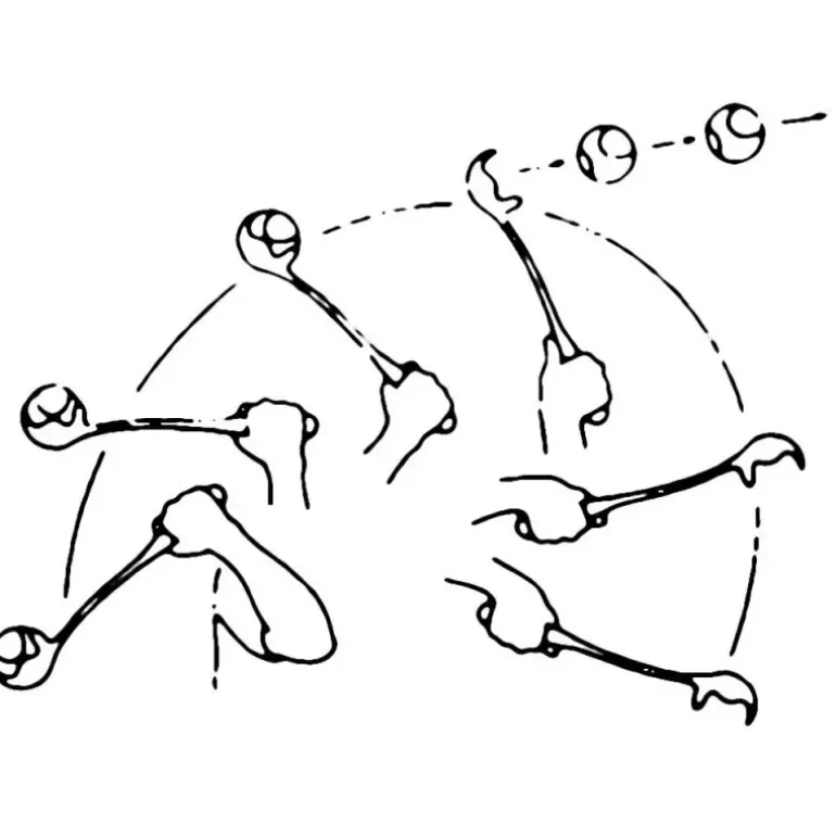 Jeu chien lanceur de balle de tennis manuel