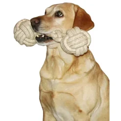 Jeu chien Os en corde 25 cm