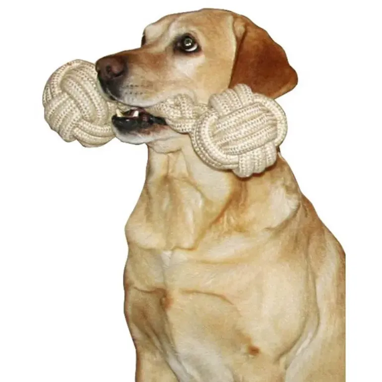 Jeu chien Os en corde 40 cm