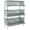 Kit 3 cages cailles pondeuses