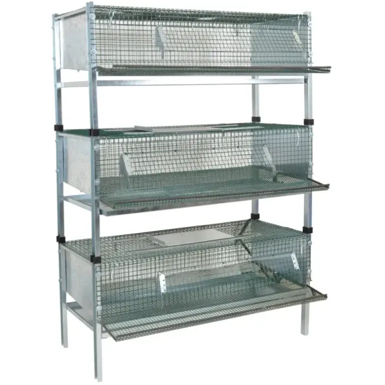 Kit 3 cages cailles pondeuses